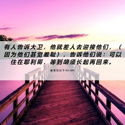 Picture 06 - 撒 母 耳 记 下 10:5 CUVS - 有 人 告 诉 大 卫 ， 他 就 差 人 去 - Bible Verse Picture