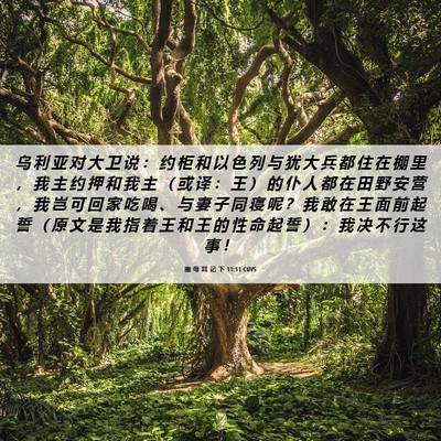 Picture 06 - 撒 母 耳 记 下 11:11 CUVS - 乌 利 亚 对 大 卫 说 ： 约 柜 和 以 - Bible Verse Picture
