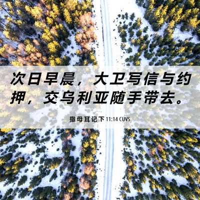 Picture 06 - 撒 母 耳 记 下 11:14 CUVS - 次 日 早 晨 ， 大 卫 写 信 与 约 押 - Bible Verse Picture