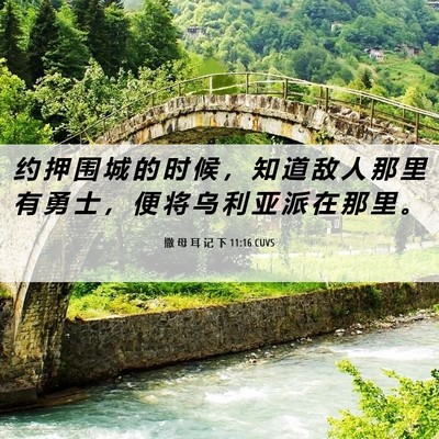 Picture 06 - 撒 母 耳 记 下 11:16 CUVS - 约 押 围 城 的 时 候 ， 知 道 敌 人 - Bible Verse Picture