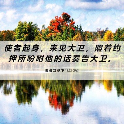 Picture 06 - 撒 母 耳 记 下 11:22 CUVS - 使 者 起 身 ， 来 见 大 卫 ， 照 着 - Bible Verse Picture