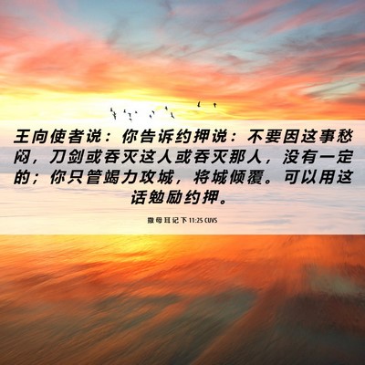 Picture 06 - 撒 母 耳 记 下 11:25 CUVS - 王 向 使 者 说 ： 你 告 诉 约 押 说 - Bible Verse Picture