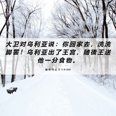 Picture 06 - 撒 母 耳 记 下 11:8 CUVS - 大 卫 对 乌 利 亚 说 ： 你 回 家 去 - Bible Verse Picture