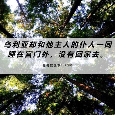 Picture 06 - 撒 母 耳 记 下 11:9 CUVS - 乌 利 亚 却 和 他 主 人 的 仆 人 一 - Bible Verse Picture