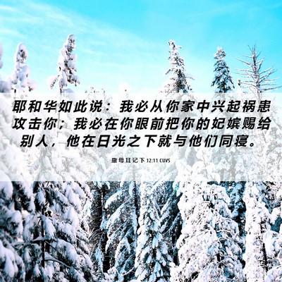 Picture 06 - 撒 母 耳 记 下 12:11 CUVS - 耶 和 华 如 此 说 ： 我 必 从 你 家 - Bible Verse Picture