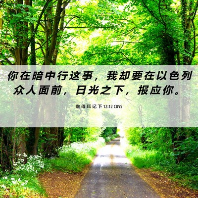Picture 06 - 撒 母 耳 记 下 12:12 CUVS - 你 在 暗 中 行 这 事 ， 我 却 要 在 - Bible Verse Picture