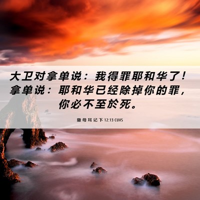Picture 06 - 撒 母 耳 记 下 12:13 CUVS - 大 卫 对 拿 单 说 ： 我 得 罪 耶 和 - Bible Verse Picture