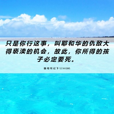 Picture 06 - 撒 母 耳 记 下 12:14 CUVS - 只 是 你 行 这 事 ， 叫 耶 和 华 的 - Bible Verse Picture