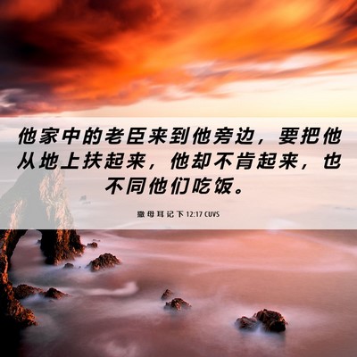Picture 06 - 撒 母 耳 记 下 12:17 CUVS - 他 家 中 的 老 臣 来 到 他 旁 边 ， - Bible Verse Picture