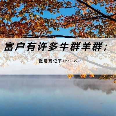 Picture 06 - 撒 母 耳 记 下 12:2 CUVS - 富 户 有 许 多 牛 群 羊 群 - Bible Verse Picture
