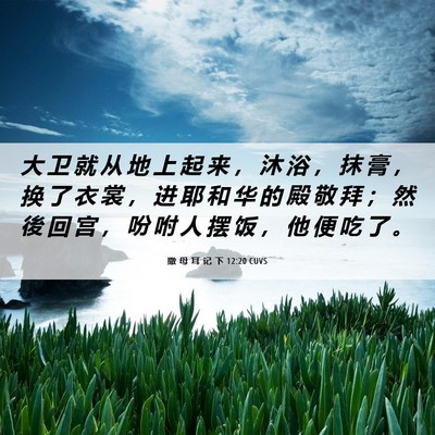 Picture 06 - 撒 母 耳 记 下 12:20 CUVS - 大 卫 就 从 地 上 起 来 ， 沐 浴 ， - Bible Verse Picture