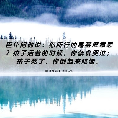 Picture 06 - 撒 母 耳 记 下 12:21 CUVS - 臣 仆 问 他 说 ： 你 所 行 的 是 甚 - Bible Verse Picture