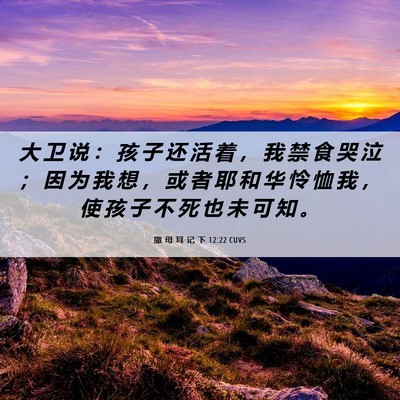 Picture 06 - 撒 母 耳 记 下 12:22 CUVS - 大 卫 说 ： 孩 子 还 活 着 ， 我 禁 - Bible Verse Picture