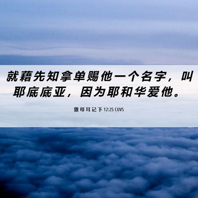Picture 06 - 撒 母 耳 记 下 12:25 CUVS - 就 藉 先 知 拿 单 赐 他 一 个 名 字 - Bible Verse Picture