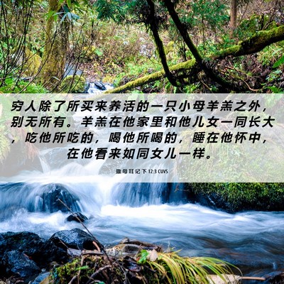Picture 06 - 撒 母 耳 记 下 12:3 CUVS - 穷 人 除 了 所 买 来 养 活 的 一 只 - Bible Verse Picture