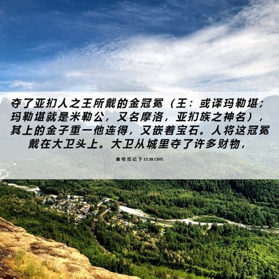 Picture 06 - 撒 母 耳 记 下 12:30 CUVS - 夺 了 亚 扪 人 之 王 所 戴 的 金 冠 - Bible Verse Picture