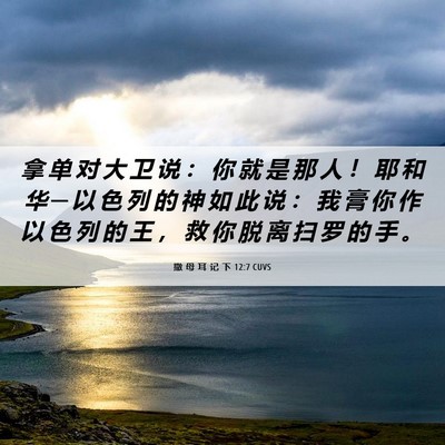 Picture 06 - 撒 母 耳 记 下 12:7 CUVS - 拿 单 对 大 卫 说 ： 你 就 是 那 人 - Bible Verse Picture