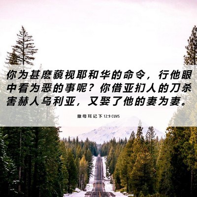 Picture 06 - 撒 母 耳 记 下 12:9 CUVS - 你 为 甚 麽 藐 视 耶 和 华 的 命 令 - Bible Verse Picture