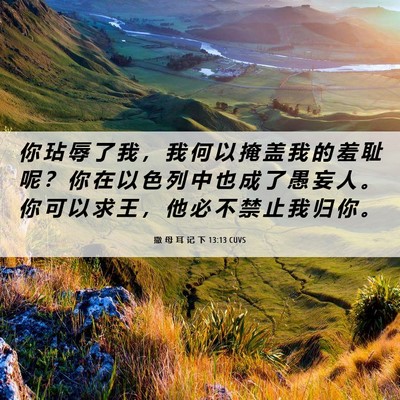 Picture 06 - 撒 母 耳 记 下 13:13 CUVS - 你 玷 辱 了 我 ， 我 何 以 掩 盖 我 - Bible Verse Picture