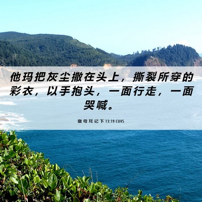 Picture 06 - 撒 母 耳 记 下 13:19 CUVS - 他 玛 把 灰 尘 撒 在 头 上 ， 撕 裂 - Bible Verse Picture