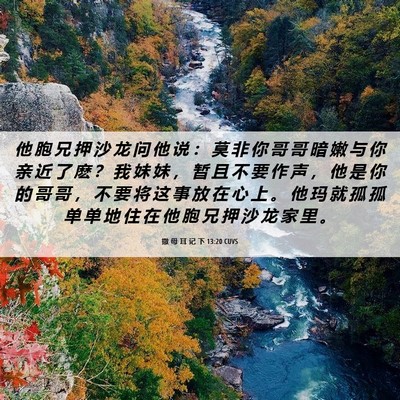 Picture 06 - 撒 母 耳 记 下 13:20 CUVS - 他 胞 兄 押 沙 龙 问 他 说 ： 莫 非 - Bible Verse Picture