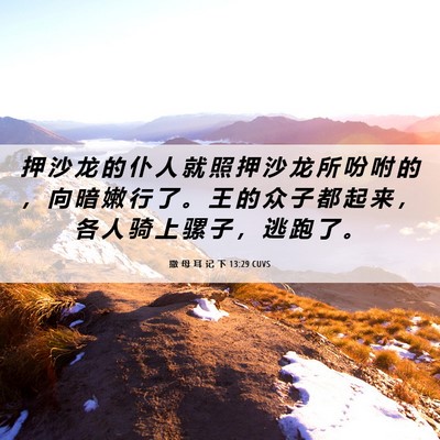 Picture 06 - 撒 母 耳 记 下 13:29 CUVS - 押 沙 龙 的 仆 人 就 照 押 沙 龙 所 - Bible Verse Picture
