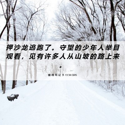 Picture 06 - 撒 母 耳 记 下 13:34 CUVS - 押 沙 龙 逃 跑 了 。 守 望 的 少 年 - Bible Verse Picture
