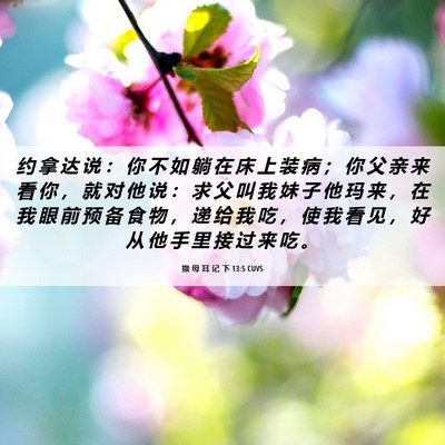Picture 06 - 撒 母 耳 记 下 13:5 CUVS - 约 拿 达 说 ： 你 不 如 躺 在 床 上 - Bible Verse Picture