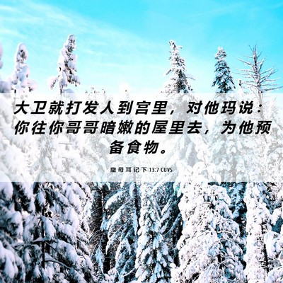 Picture 06 - 撒 母 耳 记 下 13:7 CUVS - 大 卫 就 打 发 人 到 宫 里 ， 对 他 - Bible Verse Picture