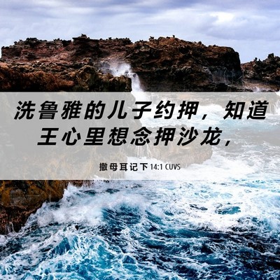 Picture 06 - 撒 母 耳 记 下 14:1 CUVS - 洗 鲁 雅 的 儿 子 约 押 ， 知 道 王 - Bible Verse Picture