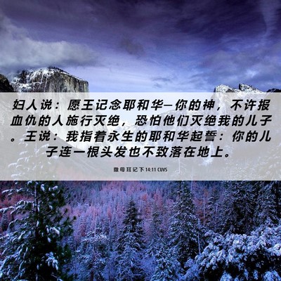 Picture 06 - 撒 母 耳 记 下 14:11 CUVS - 妇 人 说 ： 愿 王 记 念 耶 和 华 ─ - Bible Verse Picture
