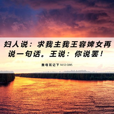 Picture 06 - 撒 母 耳 记 下 14:12 CUVS - 妇 人 说 ： 求 我 主 我 王 容 婢 女 - Bible Verse Picture
