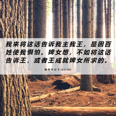 Picture 06 - 撒 母 耳 记 下 14:15 CUVS - 我 来 将 这 话 告 诉 我 主 我 王 ， - Bible Verse Picture