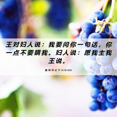 Picture 06 - 撒 母 耳 记 下 14:18 CUVS - 王 对 妇 人 说 ： 我 要 问 你 一 句 - Bible Verse Picture