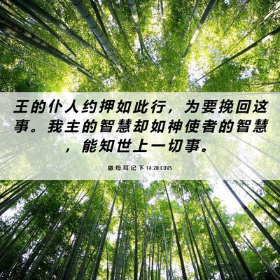 Picture 06 - 撒 母 耳 记 下 14:20 CUVS - 王 的 仆 人 约 押 如 此 行 ， 为 要 - Bible Verse Picture