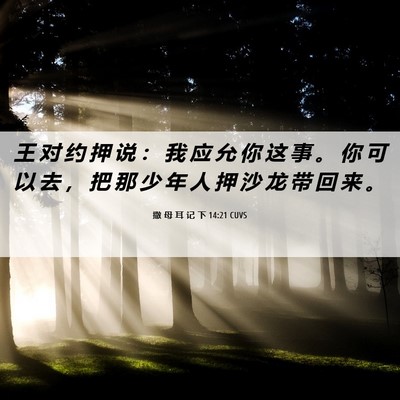 Picture 06 - 撒 母 耳 记 下 14:21 CUVS - 王 对 约 押 说 ： 我 应 允 你 这 事 - Bible Verse Picture