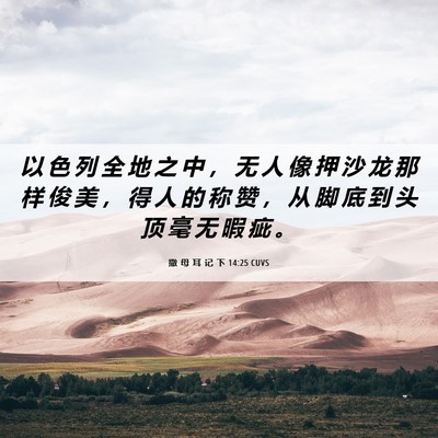 Picture 06 - 撒 母 耳 记 下 14:25 CUVS - 以 色 列 全 地 之 中 ， 无 人 像 押 - Bible Verse Picture
