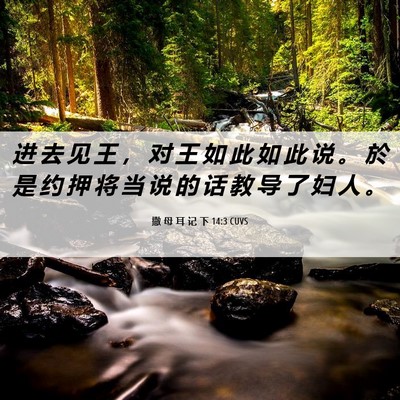 Picture 06 - 撒 母 耳 记 下 14:3 CUVS - 进 去 见 王 ， 对 王 如 此 如 此 说 - Bible Verse Picture