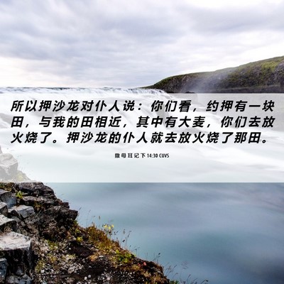 Picture 06 - 撒 母 耳 记 下 14:30 CUVS - 所 以 押 沙 龙 对 仆 人 说 ： 你 们 - Bible Verse Picture
