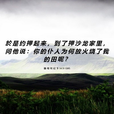 Picture 06 - 撒 母 耳 记 下 14:31 CUVS - 於 是 约 押 起 来 ， 到 了 押 沙 龙 - Bible Verse Picture