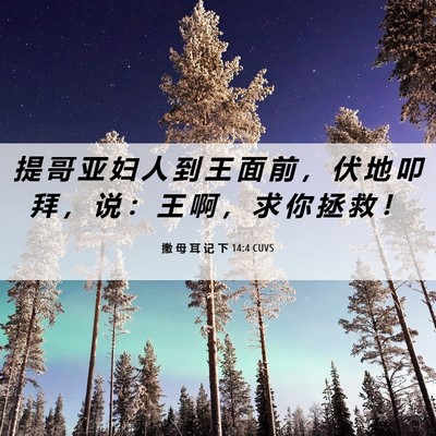 Picture 06 - 撒 母 耳 记 下 14:4 CUVS - 提 哥 亚 妇 人 到 王 面 前 ， 伏 地 - Bible Verse Picture