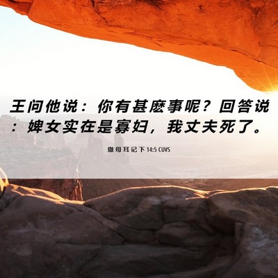 Picture 06 - 撒 母 耳 记 下 14:5 CUVS - 王 问 他 说 ： 你 有 甚 麽 事 呢 ？ - Bible Verse Picture