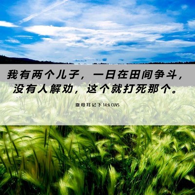Picture 06 - 撒 母 耳 记 下 14:6 CUVS - 我 有 两 个 儿 子 ， 一 日 在 田 间 - Bible Verse Picture