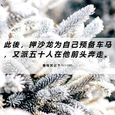 Picture 06 - 撒 母 耳 记 下 15:1 CUVS - 此 後 ， 押 沙 龙 为 自 己 预 备 车 - Bible Verse Picture