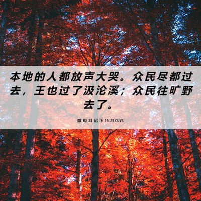 Picture 06 - 撒 母 耳 记 下 15:23 CUVS - 本 地 的 人 都 放 声 大 哭 。 众 民 - Bible Verse Picture
