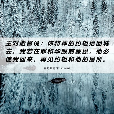 Picture 06 - 撒 母 耳 记 下 15:25 CUVS - 王 对 撒 督 说 ： 你 将 神 的 约 柜 - Bible Verse Picture