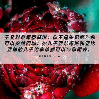 Picture 06 - 撒 母 耳 记 下 15:27 CUVS - 王 又 对 祭 司 撒 督 说 ： 你 不 是 - Bible Verse Picture