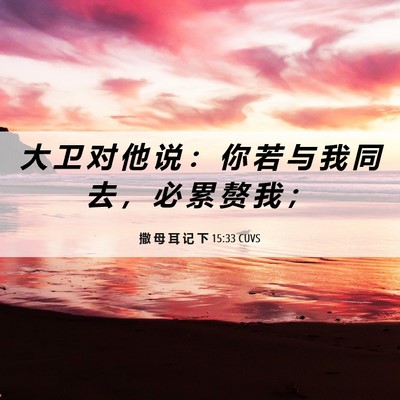 Picture 06 - 撒 母 耳 记 下 15:33 CUVS - 大 卫 对 他 说 ： 你 若 与 我 同 去 - Bible Verse Picture