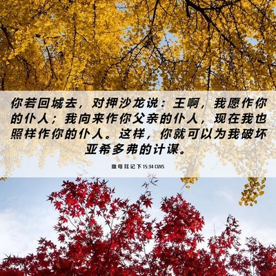 Picture 06 - 撒 母 耳 记 下 15:34 CUVS - 你 若 回 城 去 ， 对 押 沙 龙 说 ： - Bible Verse Picture
