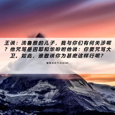 Picture 06 - 撒 母 耳 记 下 16:10 CUVS - 王 说 ： 洗 鲁 雅 的 儿 子 ， 我 与 - Bible Verse Picture